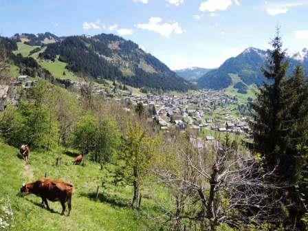 Résidence Les Chalets de Barbessine - Châtel