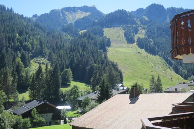 Chalet du Perthuis - Châtel