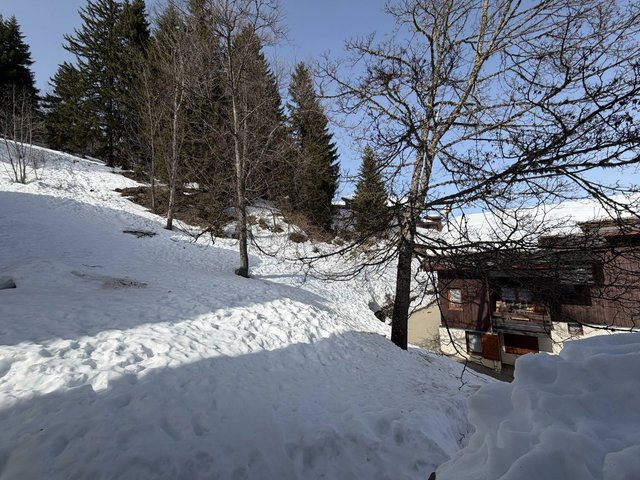 Appartement Ruisseau VM-RUI005 - Valmorel