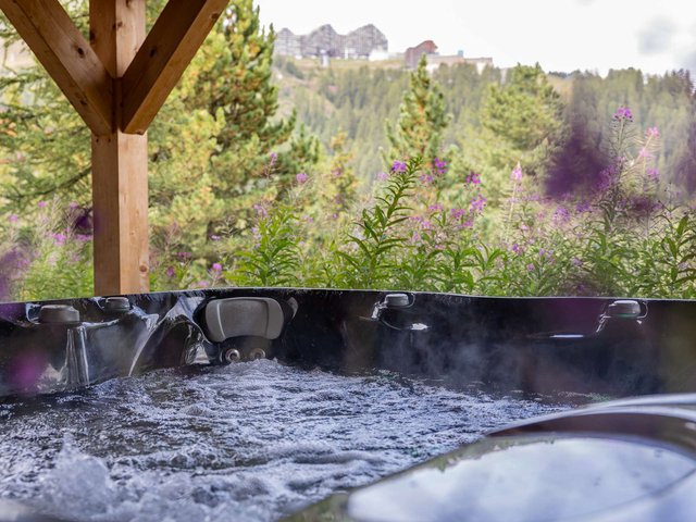 Chalet Genepy - Plagne 1800