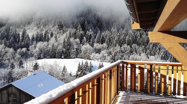 Résidence Les 4 Elements - Châtel