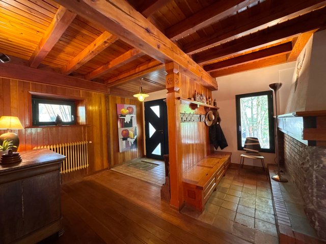 LE PANESTREL (CHALET) - Vars