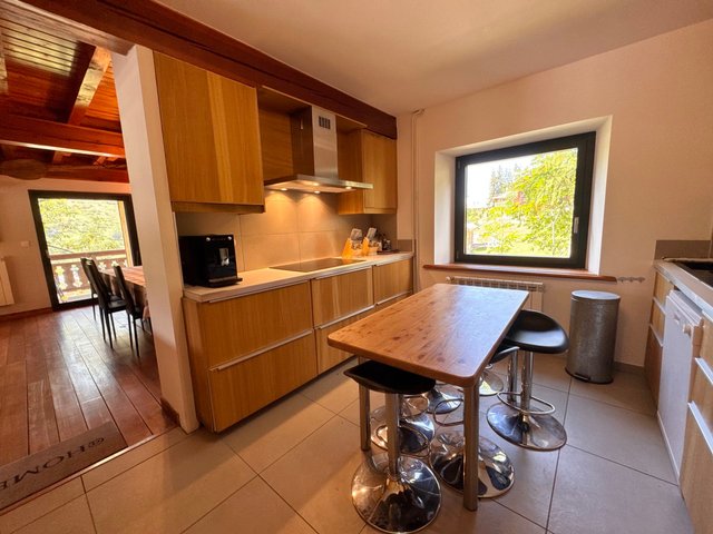 LE PANESTREL (CHALET) - Vars