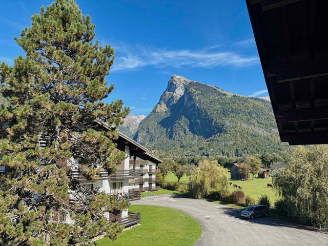 Résidence DRUGÈRES BUET  - Samoëns