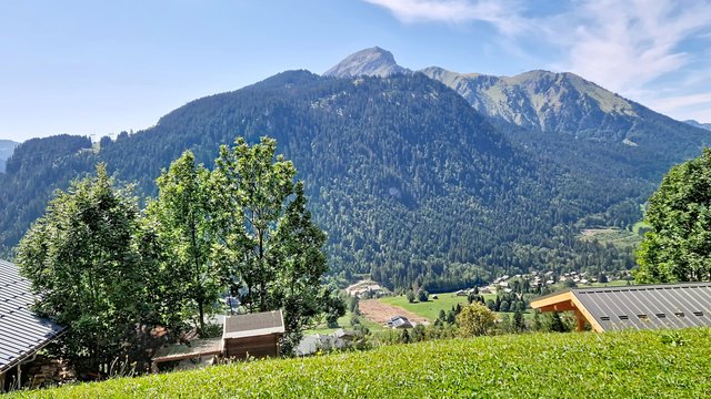 Studio ALPAGE AGA2 VIEW & MOUNTAIN 3 Pers. - Châtel