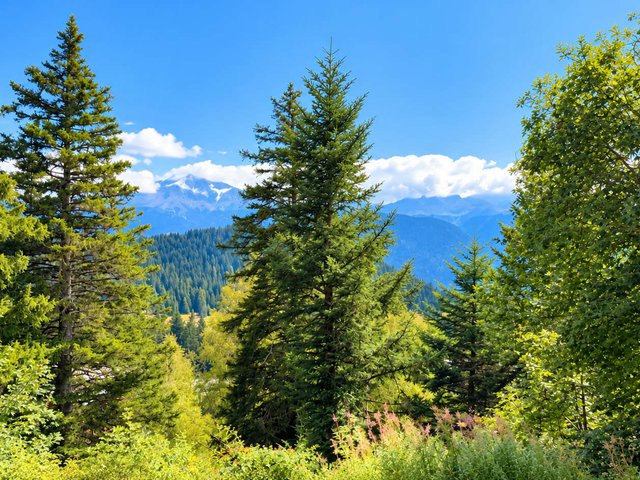 Résidence VIL.BACHAT AROLLES - Chamrousse