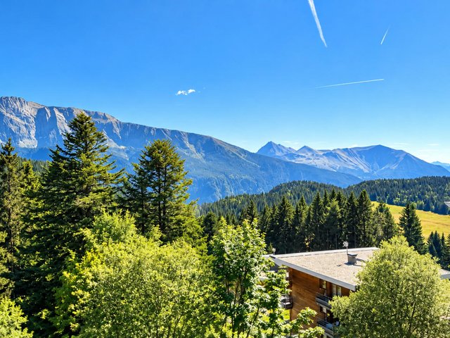 Résidence VIL. BACHAT MELEZES - Chamrousse