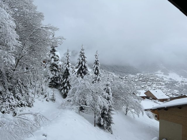 Résidence Yeti - Châtel