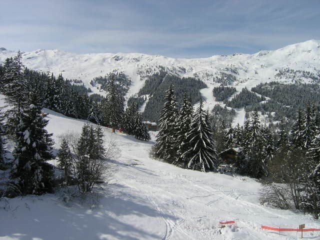 Appartement Gelinotte MRB310-030 - Méribel Centre 1600 