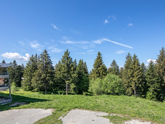 Appartement V du Bachat Joubarbes A N°12 - 2P6 - Chamrousse