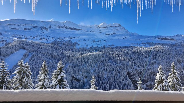 Appartements LES PLEIADES - Flaine Forêt 1700