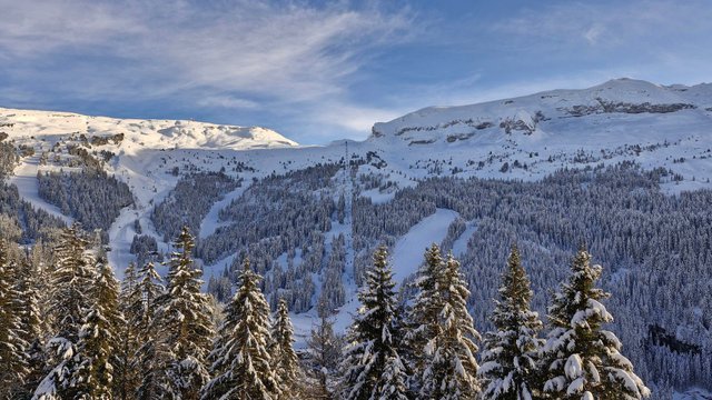 Appartements LES PLEIADES - Flaine Forêt 1700