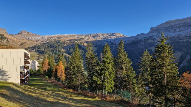 Appartements LES PLEIADES - Flaine Forêt 1700