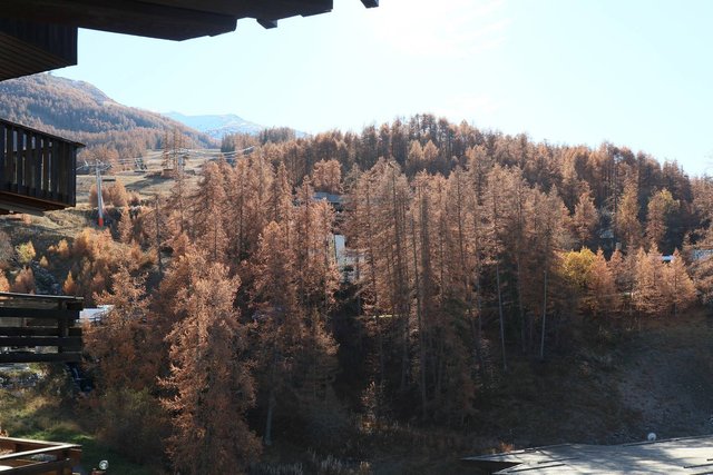 Appartement Orr Des Forets 221 - Les Orres