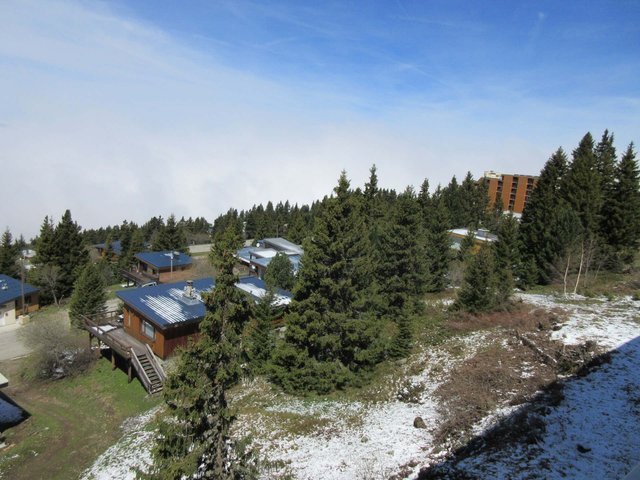 Résidence LES CARLINES - Chamrousse