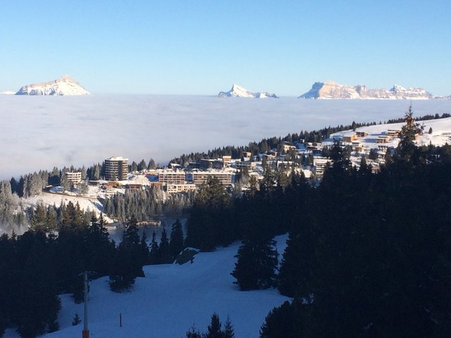 Résidence L'EDELWEISS - Chamrousse