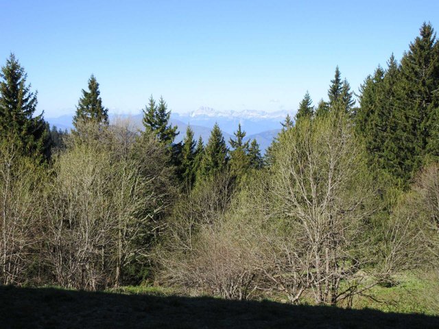 Résidence LE VERNON - Chamrousse