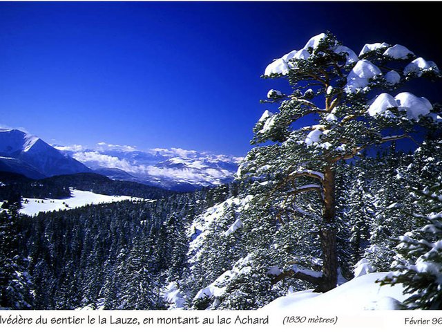 Résidence LA LAUZIERE - Chamrousse