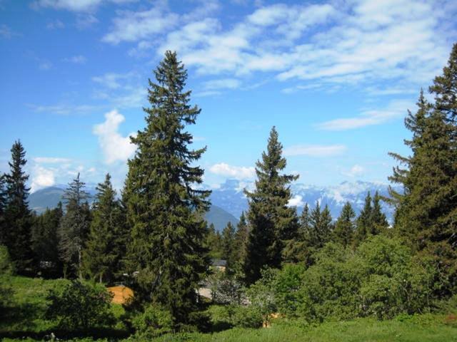 Résidence LES MARMOTTES - Chamrousse