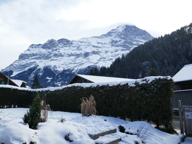 Appartement Chalet Schwendihus - Grindelwald 