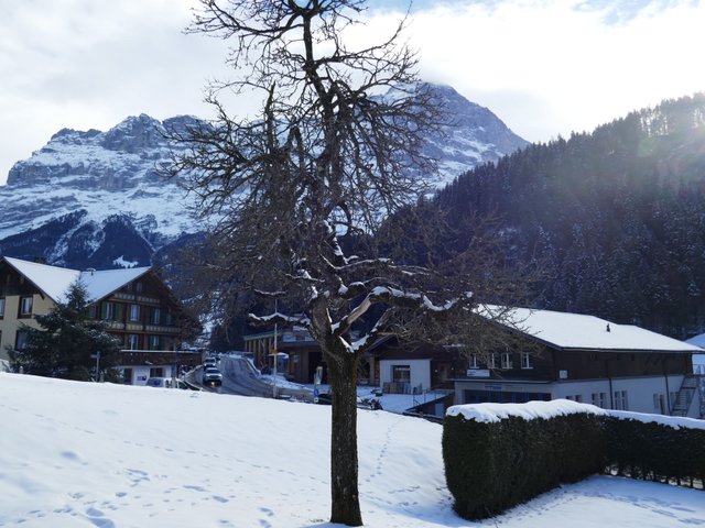 Appartement Chalet Schwendihus - Grindelwald 