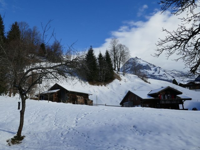 Appartement Chalet Schwendihus - Grindelwald 