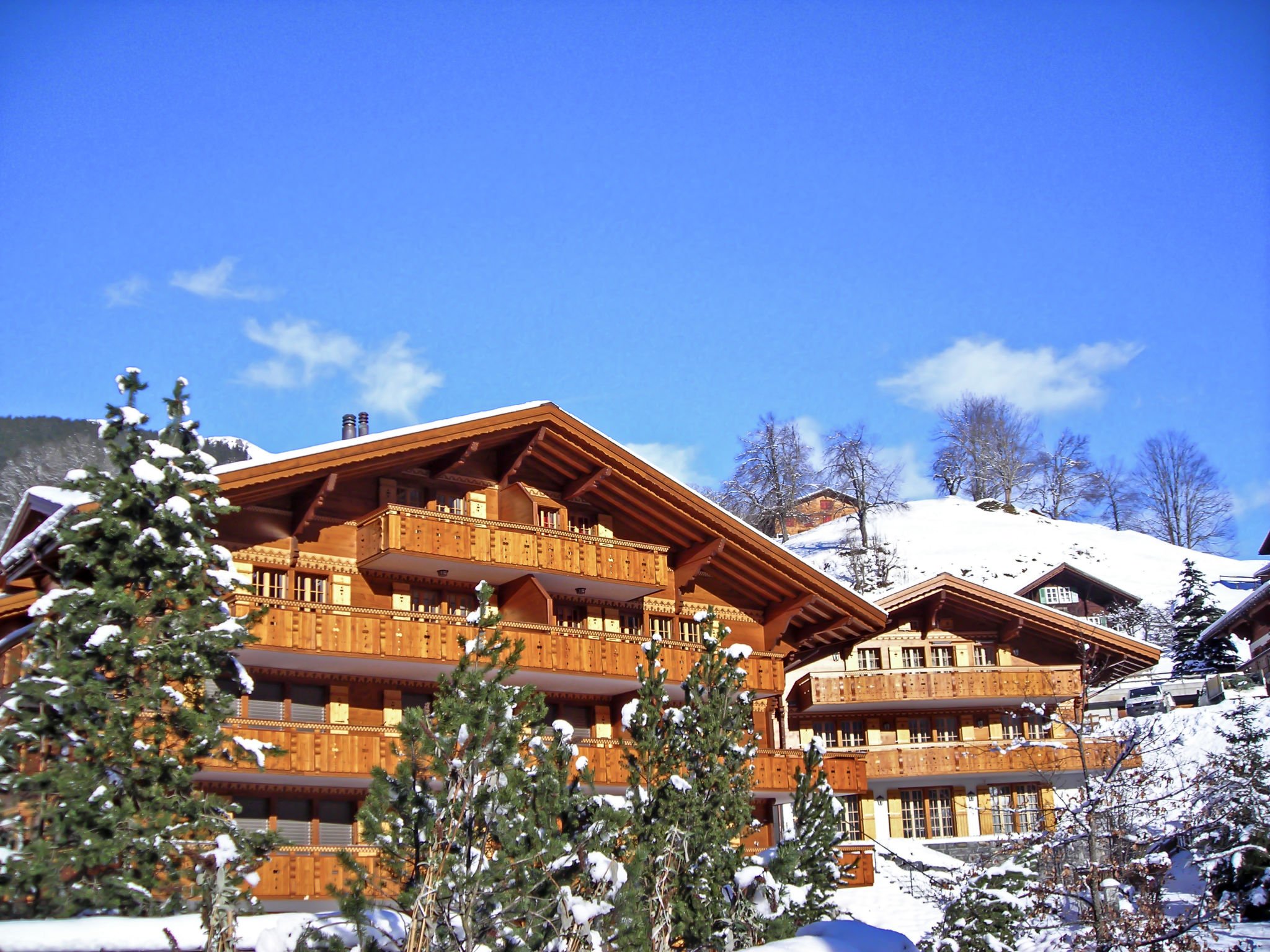 Appartement Chalet Smaragd
