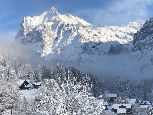 Appartement Chalet Shangri La - Grindelwald 