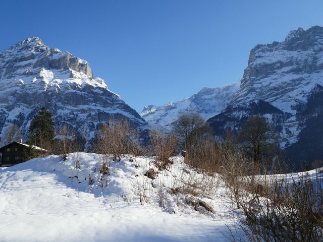 Appartement Chalet Blaugletscher - Grindelwald 
