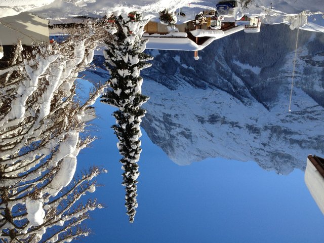 Appartement Chalet Bergfink - Grindelwald 