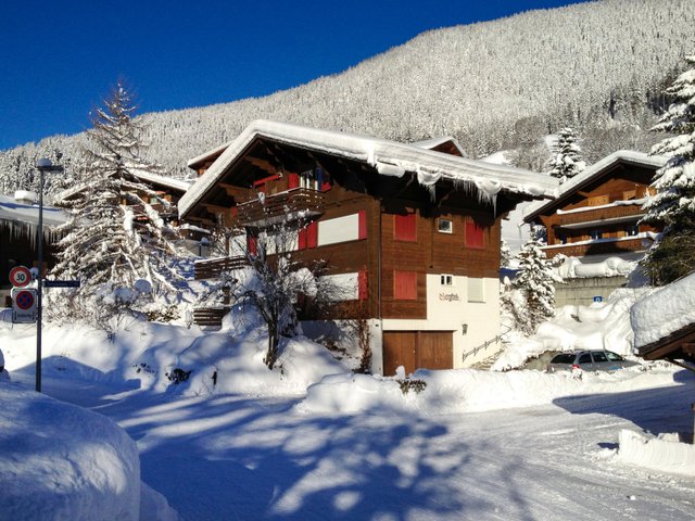 Appartement Chalet Bergfink - Grindelwald 