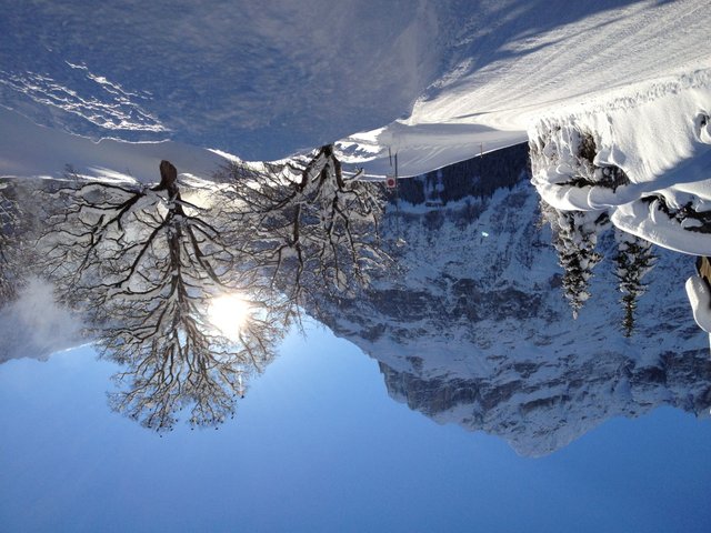 Appartement Chalet Bergfink - Grindelwald 