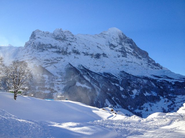 Appartement Chalet Bergfink - Grindelwald 