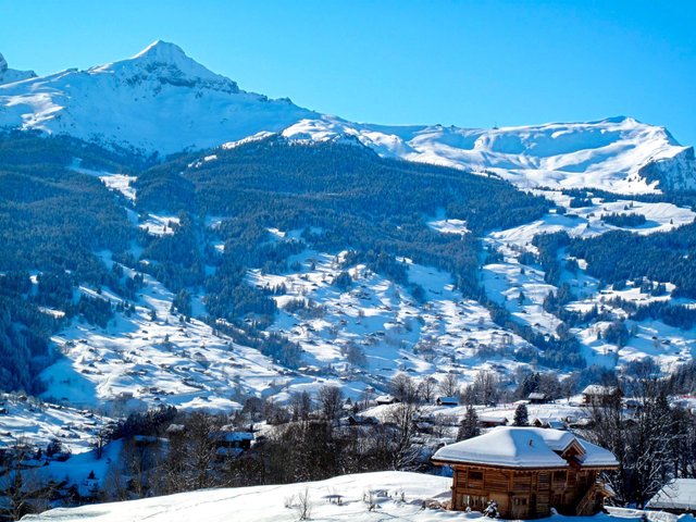 Appartement Chalet Bergfink - Grindelwald 