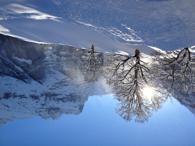 Appartement Chalet Bergfink - Grindelwald 