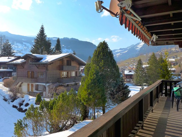 Appartement Chalet Spassvogel - Grindelwald 