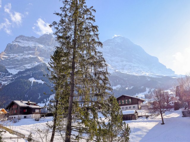 Appartement Chalet Spassvogel - Grindelwald 