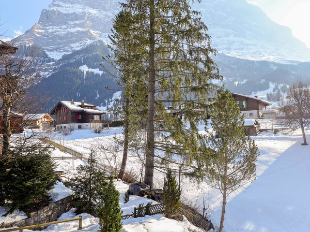 Appartement Chalet Spassvogel - Grindelwald 
