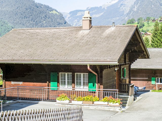 Appartement Chalet Spassvogel - Grindelwald 