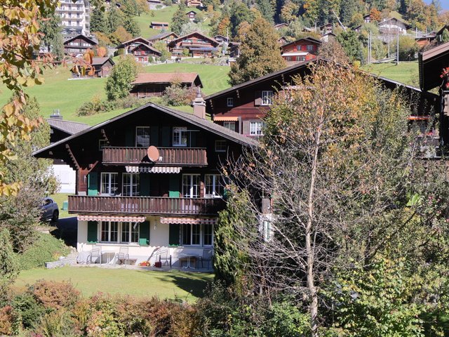 Appartement Chalet Spassvogel - Grindelwald 