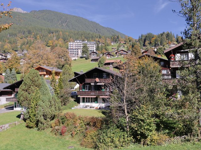 Appartement Chalet Spassvogel - Grindelwald 