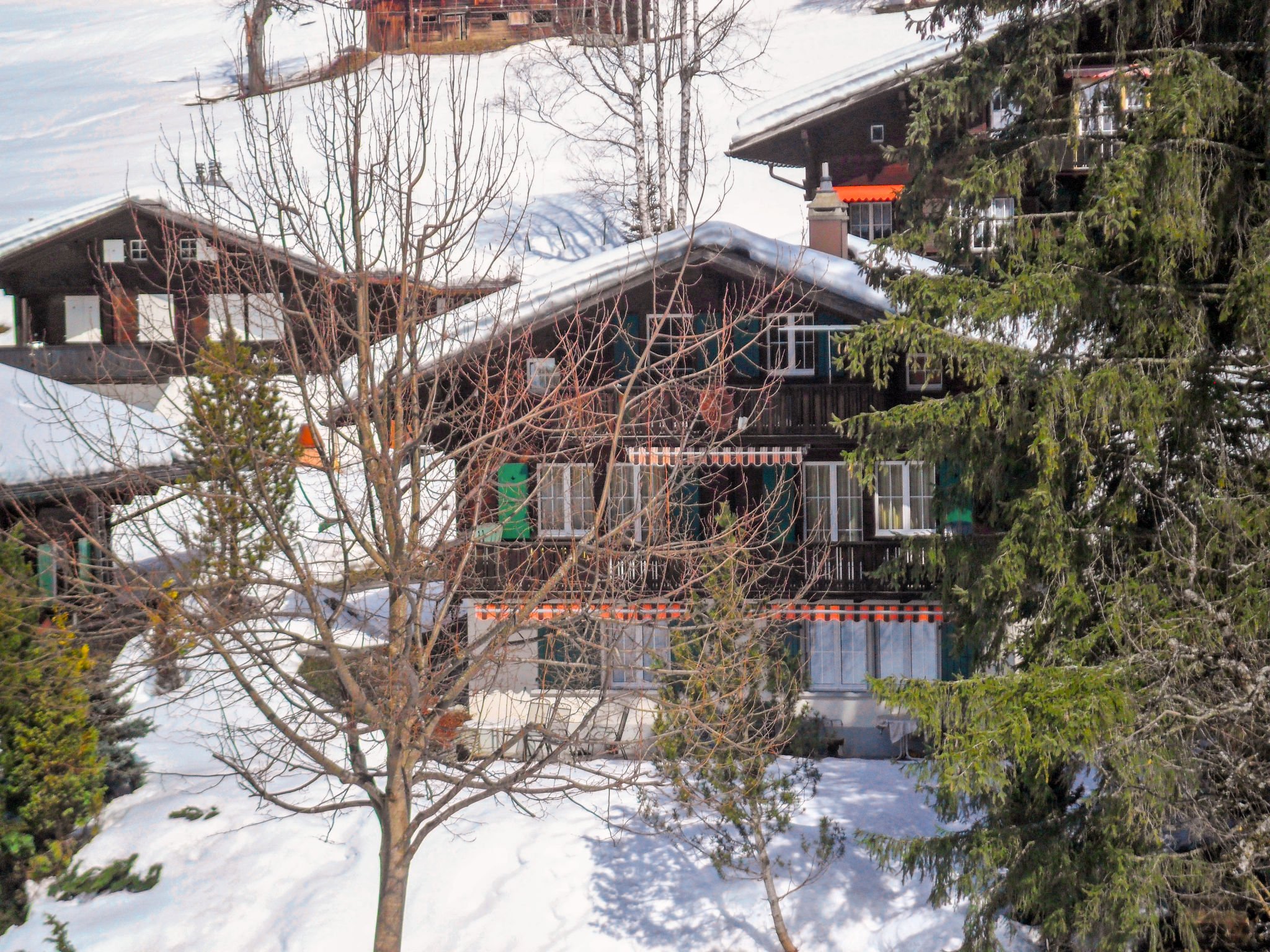 Appartement Chalet Spassvogel
