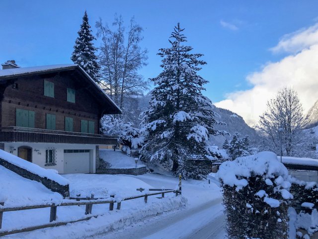 Appartement Chalet Anna - Grindelwald 