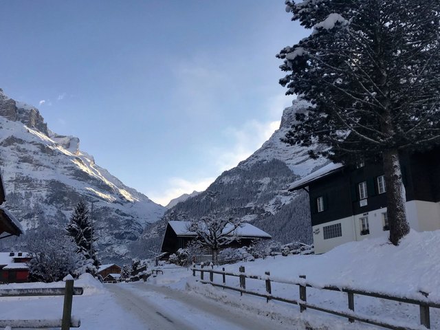 Appartement Chalet Anna - Grindelwald 
