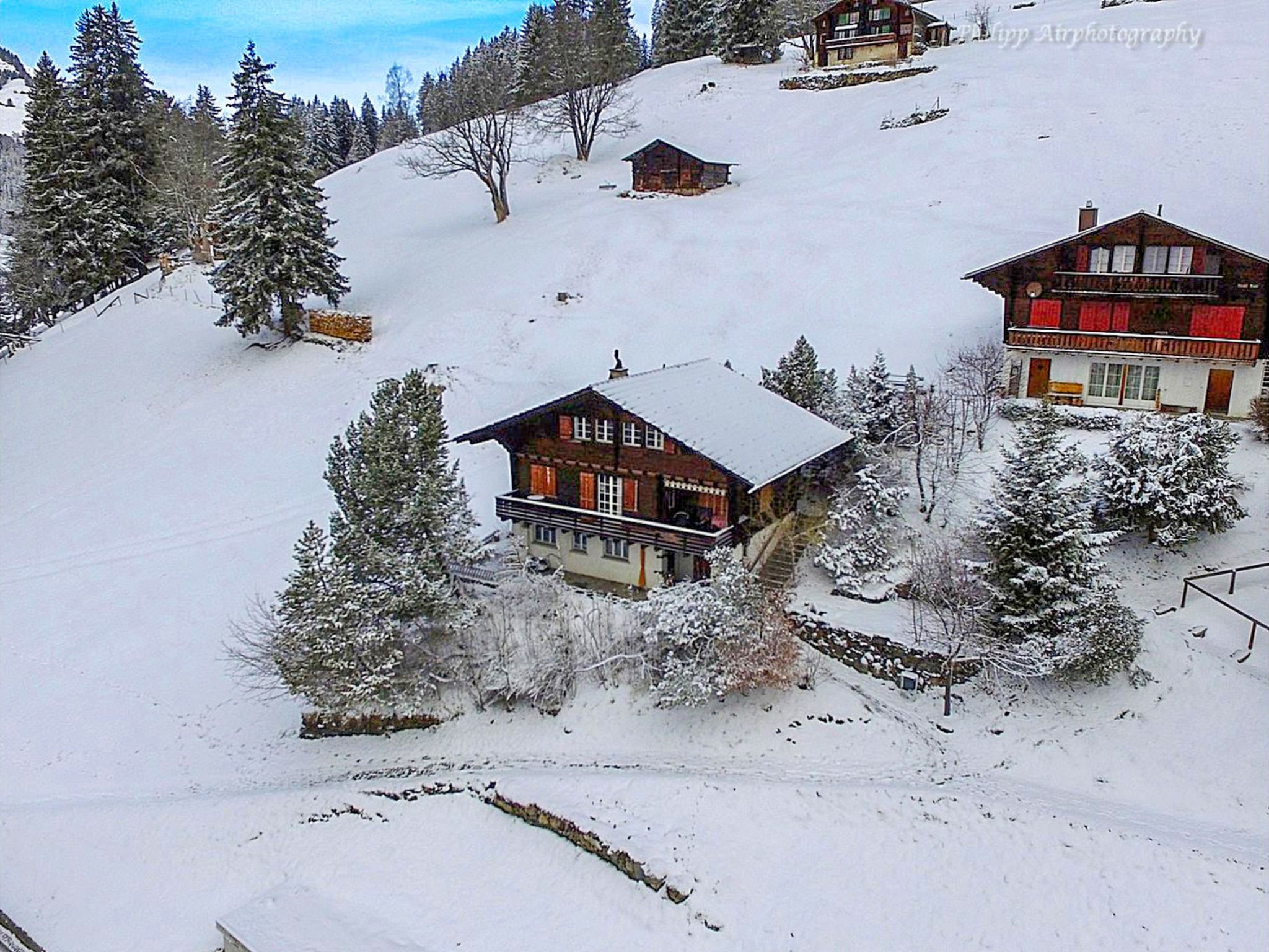 Châlet Jungfrau a d Ledi