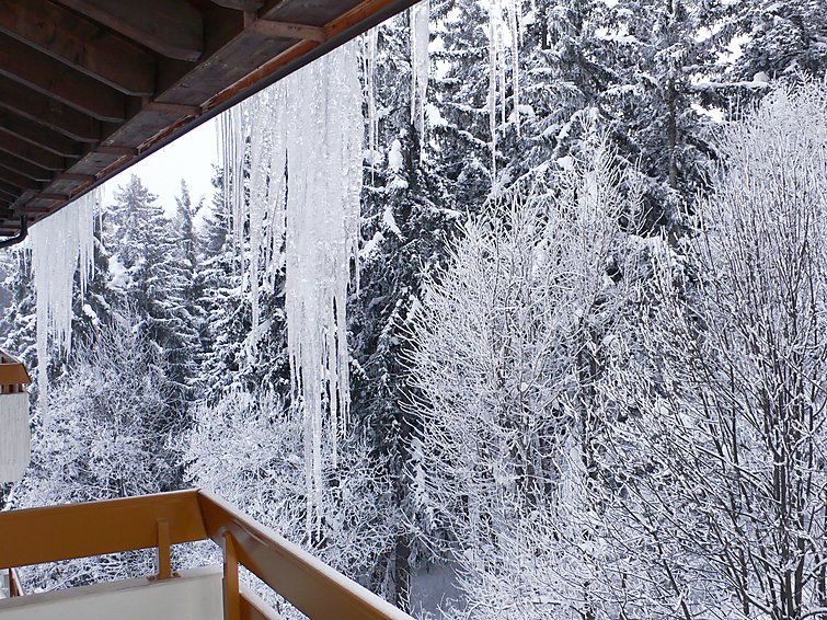 Appartement Terrasse des Alpes