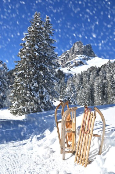 Appartement Allod Park Haus C 505 - Davos